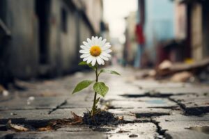 La vida es injusta, ¿Y eso qué importa?
