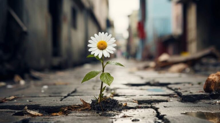 La vida es injusta, ¿Y eso qué importa?